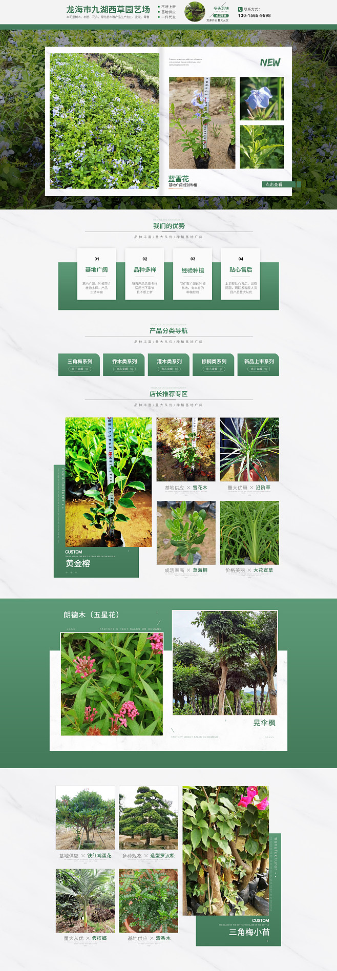 从种子到花朵 家庭园艺产品种植的艺术与科学