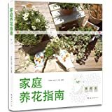 家庭园艺 打造属于你的绿色小天地