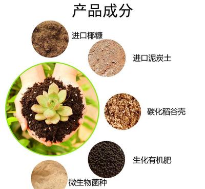 大包多肉专用营养土 /多肉土花卉土种植蔬菜基质椰土泥炭土壤包图片_高清图_细节图-郑州市惠济区双桥花卉基地劳恩格润园林资材经营部 -